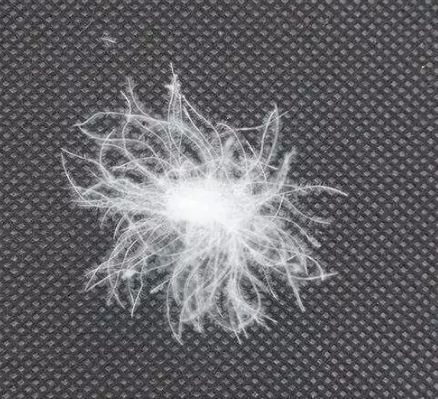 充绒量 含绒量 绒子含量区别